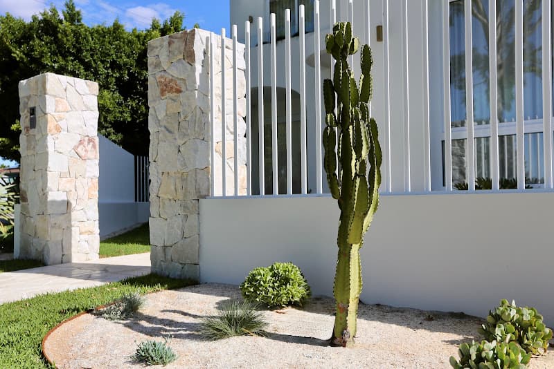 Lush tropical garden design with layered planting — Perth